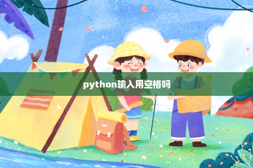 python输入用空格吗