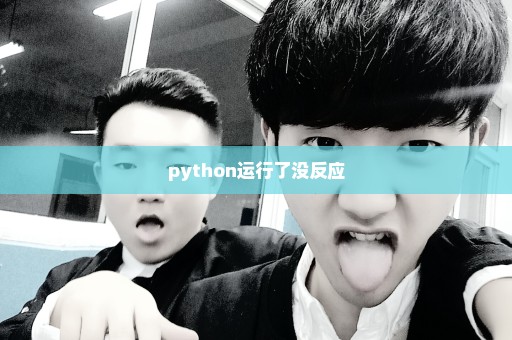 python运行了没反应