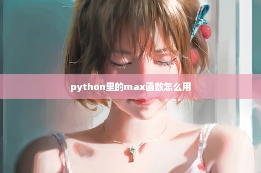 python里的max函数怎么用