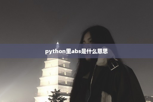 python里abs是什么意思