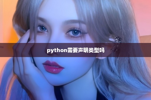 python需要声明类型吗