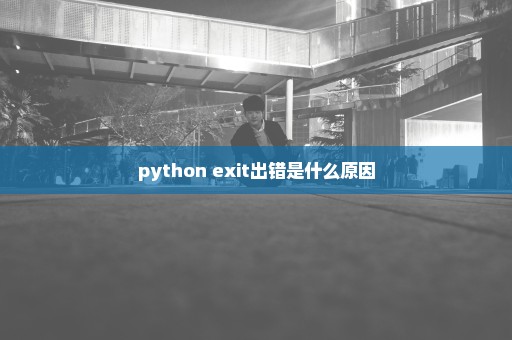python exit出错是什么原因
