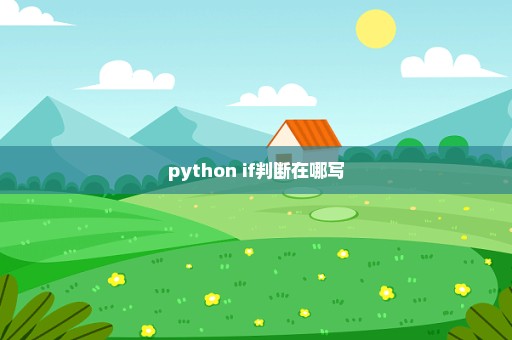 python if判断在哪写