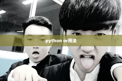 python or用法