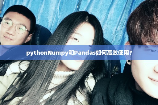pythonNumpy和Pandas如何高效使用？