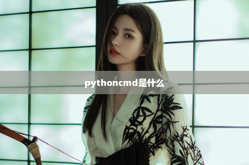 pythoncmd是什么