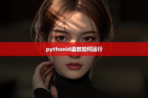 pythonid函数如何运行