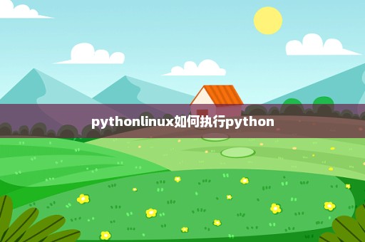pythonlinux如何执行python