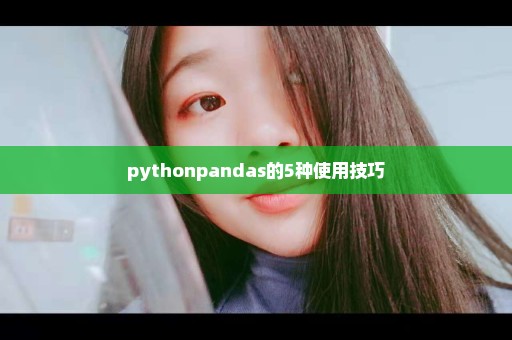 pythonpandas的5种使用技巧