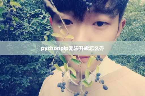 pythonpip无法升级怎么办