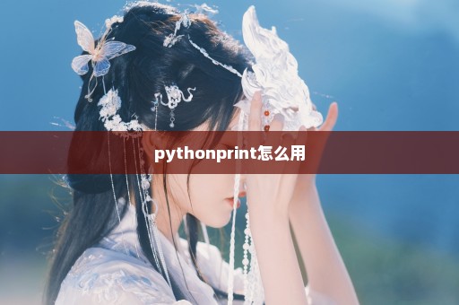 pythonprint怎么用