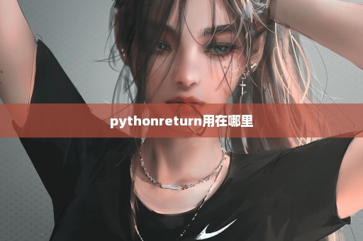pythonreturn用在哪里