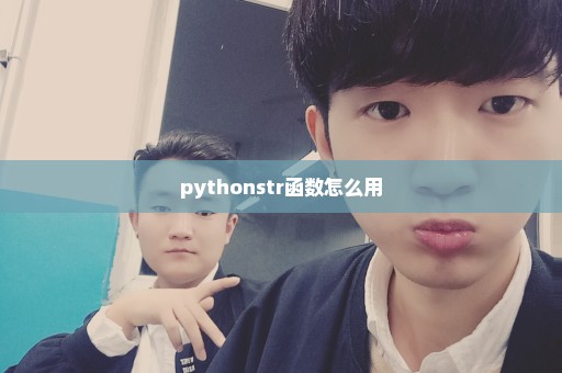 pythonstr函数怎么用