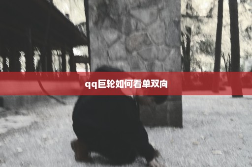 qq巨轮如何看单双向