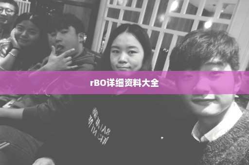 rBO详细资料大全