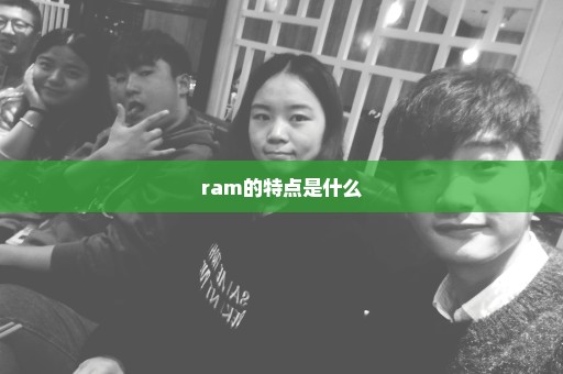 ram的特点是什么