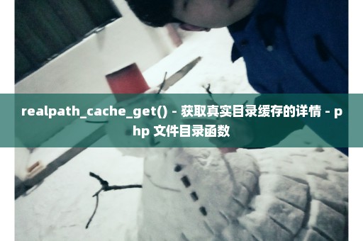 realpath_cache_get() - 获取真实目录缓存的详情 - php 文件目录函数