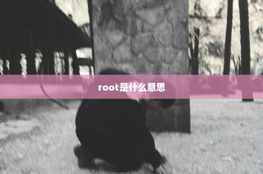 root是什么意思