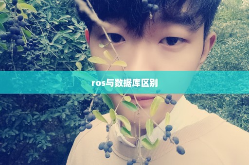 ros与数据库区别