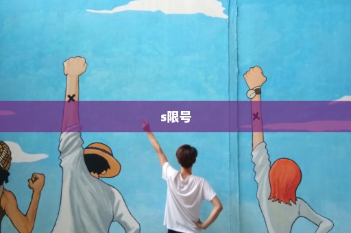 s限号