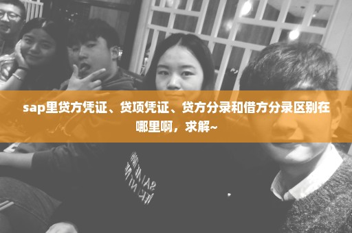 sap里贷方凭证、贷项凭证、贷方分录和借方分录区别在哪里啊，求解~