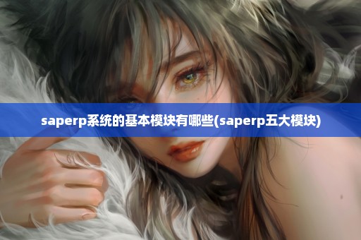 saperp系统的基本模块有哪些(saperp五大模块)