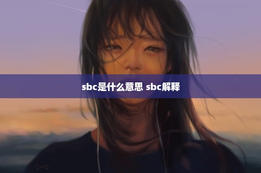 sbc是什么意思 sbc解释
