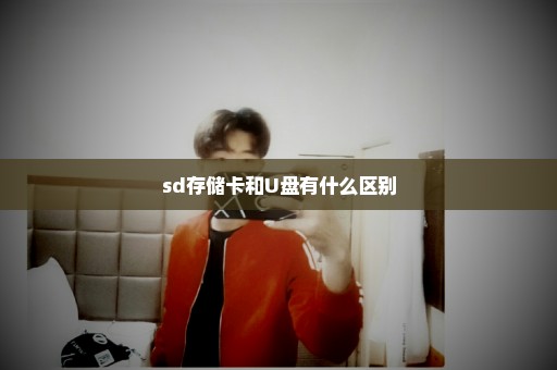 sd存储卡和U盘有什么区别