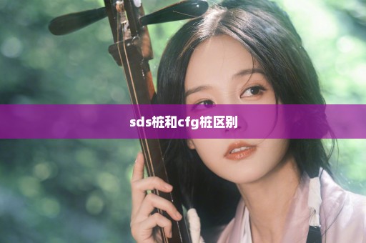 sds桩和cfg桩区别