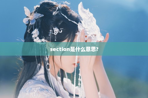 section是什么意思?