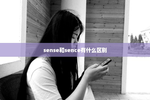 sense和sence有什么区别