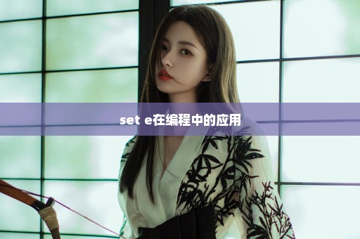 set+e在编程中的应用