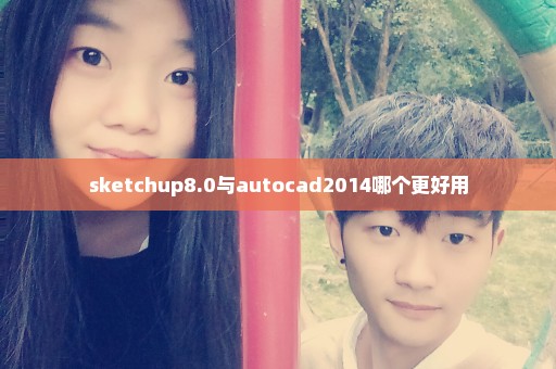sketchup8.0与autocad2014哪个更好用