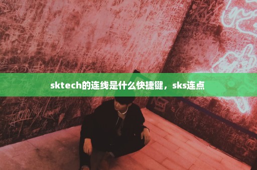 sktech的连线是什么快捷键，sks连点 
