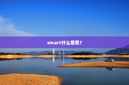 smart什么意思？