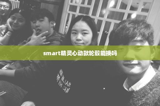 smart精灵心动款轮毂能换吗
