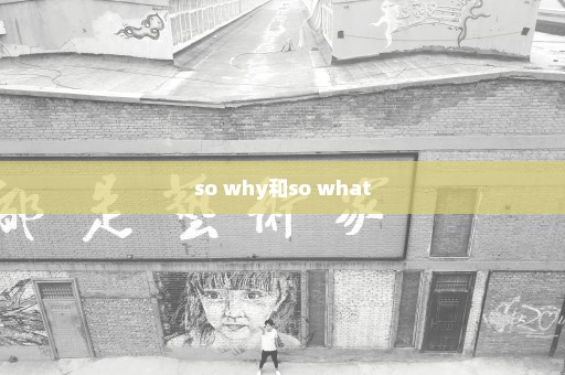 so why和so what