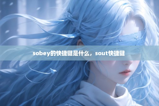 sobey的快捷键是什么，sout快捷键 