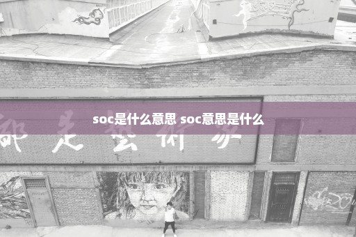 soc是什么意思 soc意思是什么
