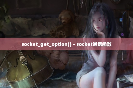 socket_get_option() - socket通信函数