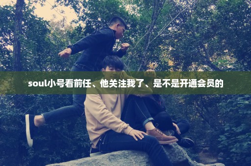 soul小号看前任、他关注我了、是不是开通会员的