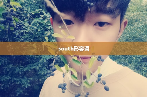 south形容词