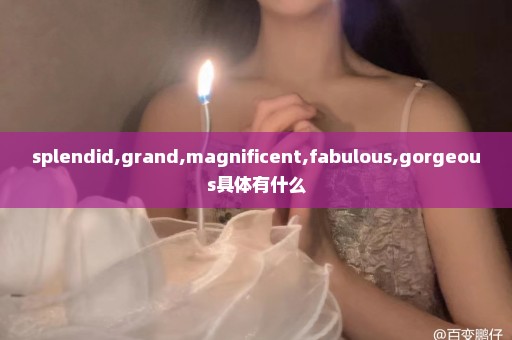 splendid,grand,magnificent,fabulous,gorgeous具体有什么