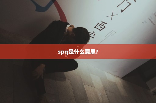 spq是什么意思?
