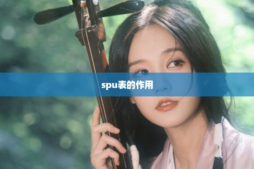 spu表的作用