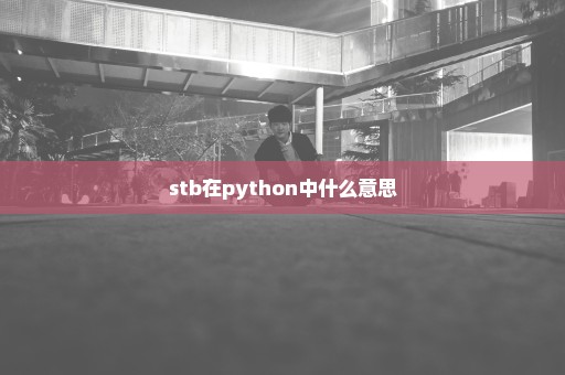 stb在python中什么意思