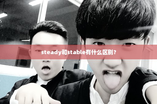 steady和stable有什么区别？