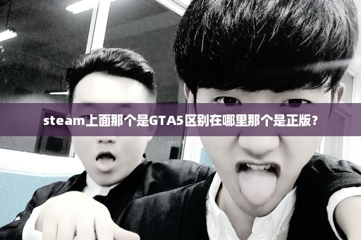 steam上面那个是GTA5区别在哪里那个是正版？