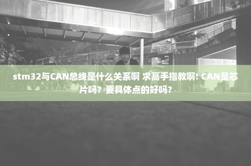 stm32与CAN总线是什么关系啊 求高手指教啊! CAN是芯片吗？要具体点的好吗？