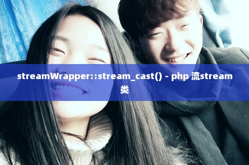streamWrapper::stream_cast() - php 流stream类